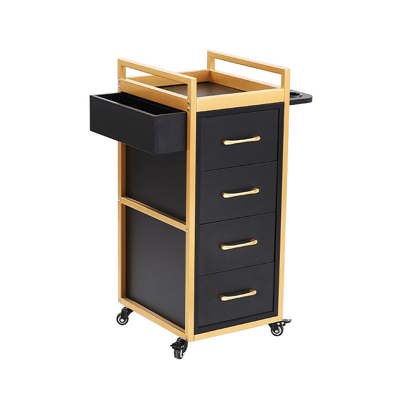 HZ2069BK / HZ2069W Zwart-gouden schoonheidssalontrolley