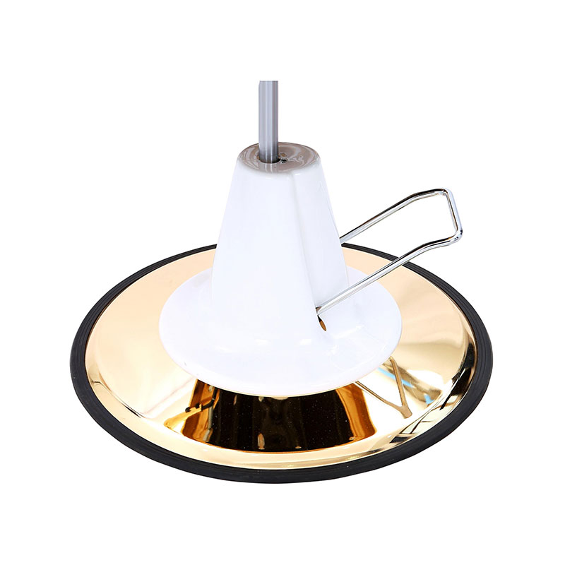 HZ22DG Vintage kappersstoel hydraulische pomp met gouden voet