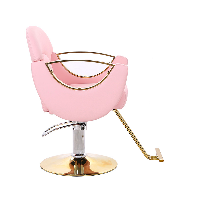 HZ8765BZ / HZ8765WZ / HZ8765PZ / HZ8765Z Lichte styling salonstoel