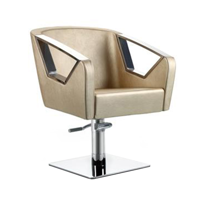 HZ8835 Salonstoelen in champagnekleurige stijl