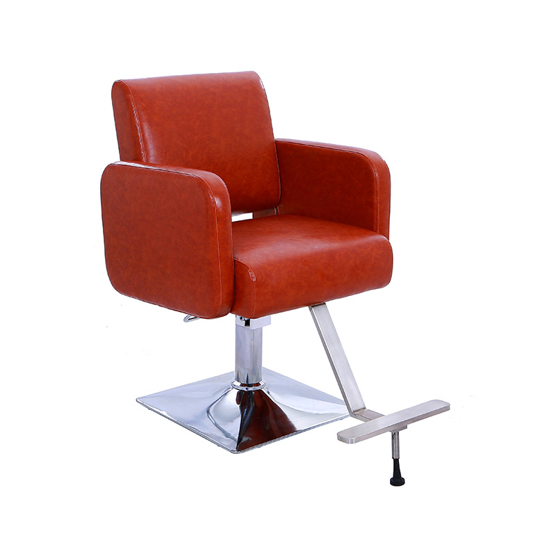 HZ88127 Bruine dikke betaalbare salonstoelen