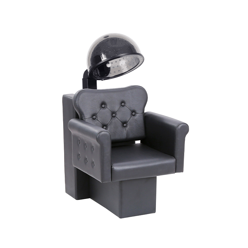 HZ9042 Professionele salonföhn en stoelcombinatie